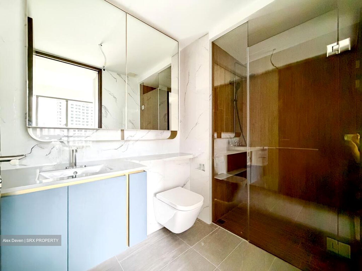 Amo Residence (D20), Apartment #518581651